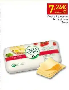 Recheio Terra nostra - queijo flamengo promoção