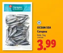 Lidl Ocean sea promoção