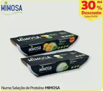 Auchan Numa Seleção de Proteína Mimosa promoção