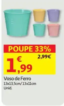 Auchan Vaso de Ferro promoção