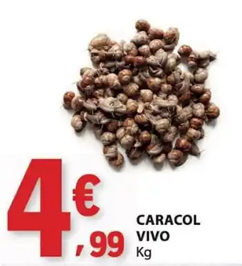 E.Leclerc caracol vivo promoção