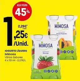 Intermarché Mimosa - iogurte líquido promoção