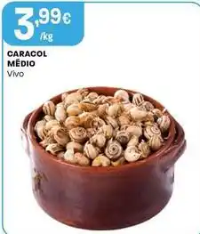 Intermarché Caracol medio promoção