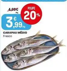 Intermarché Carapau medio promoção