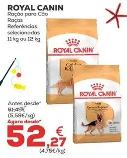 Kiwoko Royal Canin ração para cão raças selecionadas promoção