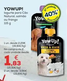 Kiwoko yowup! logurte para cão promoção