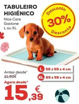 Kiwoko tabuleiro higienico nice care gastone l ou xl promoção