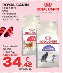 Kiwoko Royal Canin ração para gato promoção