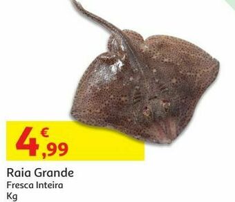 Auchan Raia grande promoção