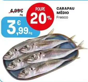 Intermarché Carapau medio fresco promoção