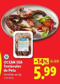 Lidl Ocean sea - tentaculos de pota promoção