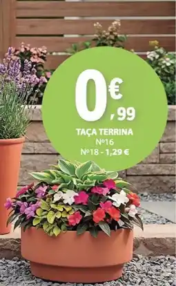 E.Leclerc Taça terrina promoção
