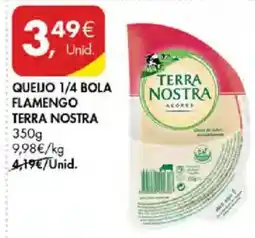 Pingo Doce queijo 1/4 bola flamengo terra nostra promoção