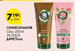 Pingo Doce Herbal Essences condicionador promoção