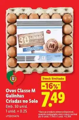 Lidl Ovos Classe M Galinhas Criadas no Solo promoção