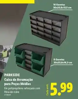 Lidl PARKSIDE Caixa de Arrumação para Peças Médias promoção
