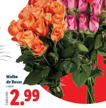 Lidl Molho de Rosas promoção
