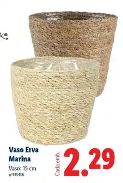 Lidl Vaso Erva Marina promoção
