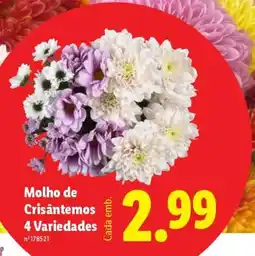 Lidl Molho de Crisântemos 4 Variedades promoção