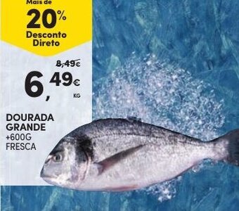 Continente Dourada Grande +600g promoção