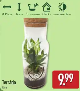 ALDI Terrário Vaso promoção