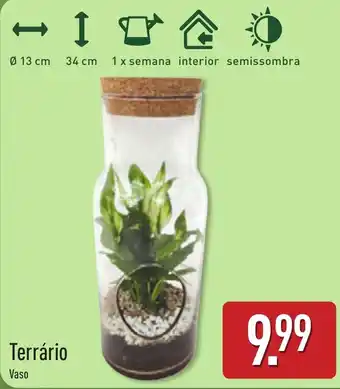 Terrário Vaso