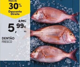 Continente Dentão Fresco promoção