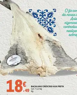 E.Leclerc Bacalhau crescido asa preta promoção