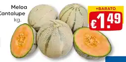 Bolama Meloa Cantalupe promoção