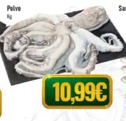 Belita Polvo promoção