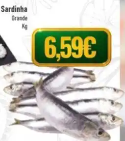 Belita Sardinha Grande promoção