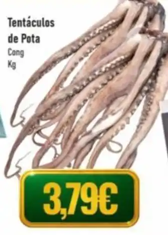 Belita Tentáculos de Pota promoção