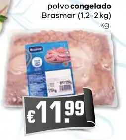 Bolama polvo congelado brasmar promoção