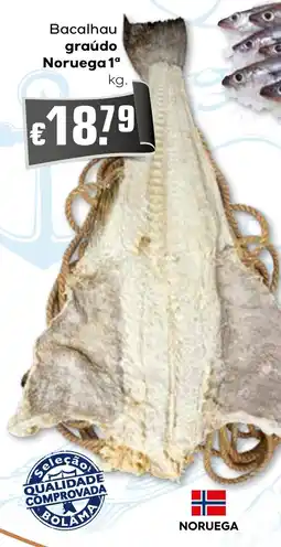Bolama Bacalhau graúdo Noruega 1ª promoção