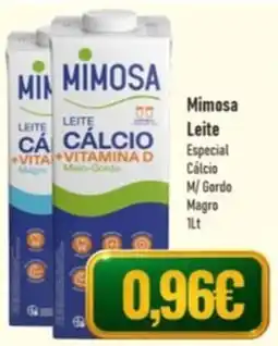 Belita Mimosa Leite Especial Cálcio M/Gordo Magro promoção
