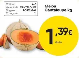 Froiz Meloa Cantaloupe promoção