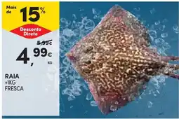 Continente Raia fresca promoção