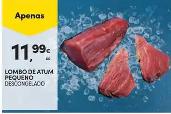 Continente Lombo de atum pequeno descongelado promoção