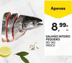 Continente Salmão inteiro pequeno promoção