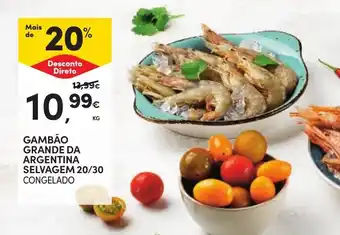 Continente Gambão grande da argentina promoção