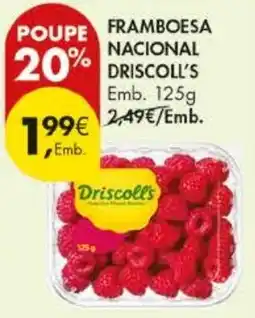 Pingo Doce framboesa nacional driscoll's promoção
