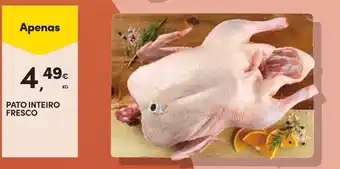 Continente Pato inteiro fresco promoção
