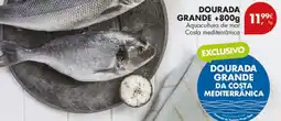 Pingo Doce Dourada grande +800g promoção