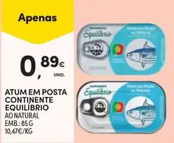 Continente atum em posta continente equilíbrio promoção