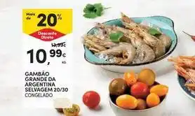 Continente Bom dia Gambao grande da argentina selvagem 20/30 promoção