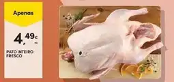Continente Bom dia Pato - interio fresco promoção