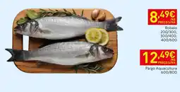 Recheio Robalo promoção