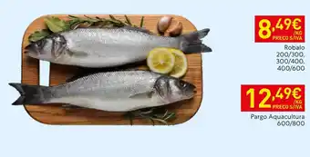 Recheio Robalo promoção