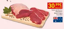 Recheio Vazia de Bovino Aberdeen Black Angus promoção