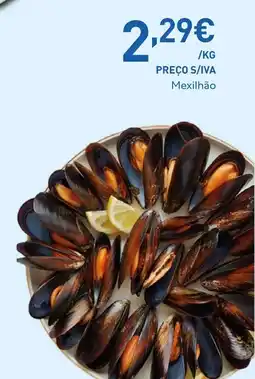 Recheio Mexilhão promoção